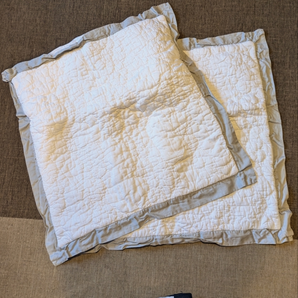 Anthropologie Quilted Euro shams -MOVING LAST DAYS!